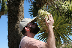 Joshua Tree Bloom & Eric (3578)