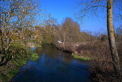 Un coin de ciel bleu