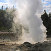 Steamboat Geyser