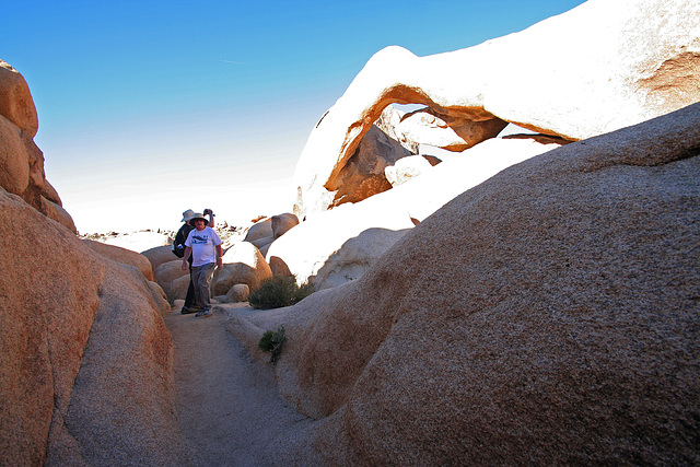 Arch at White Tank (3672)