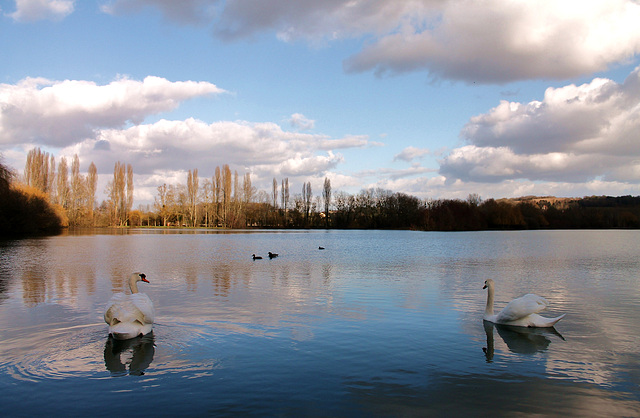 BALLADE & NATURE