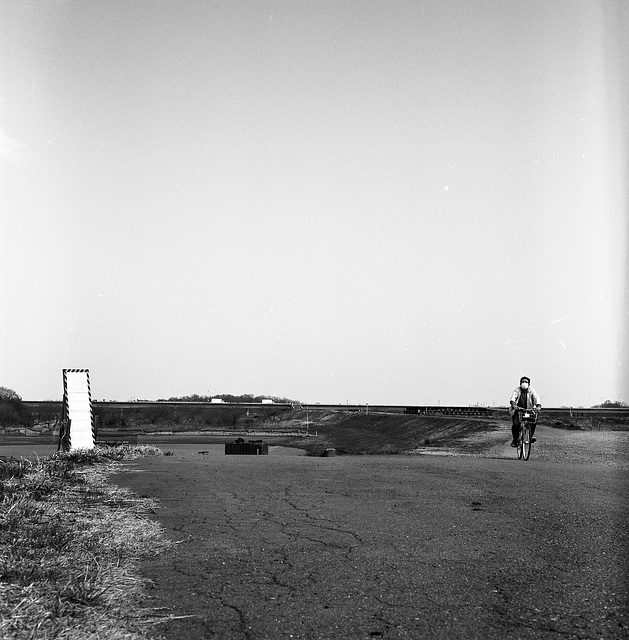 On the bank of the river