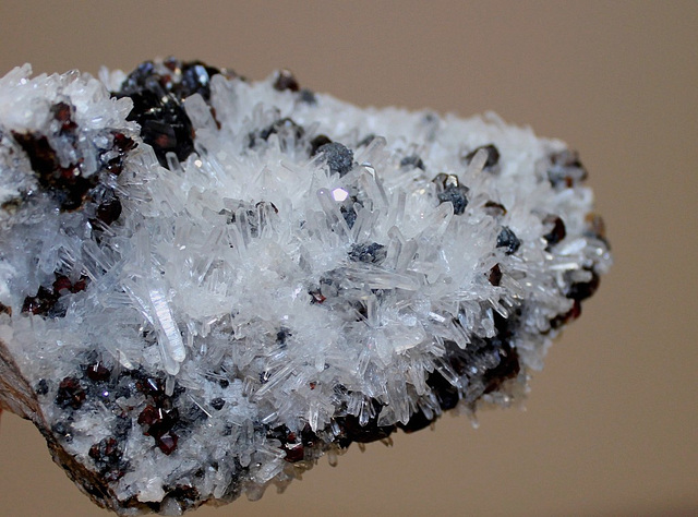 association quartz et blende + bournonite (2)