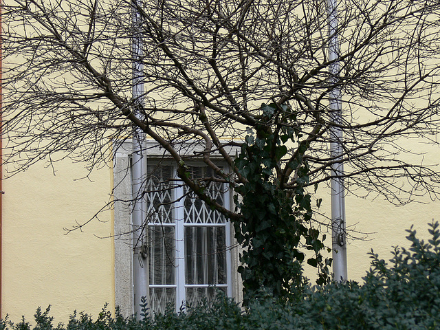 Regensburger Stadtansichten