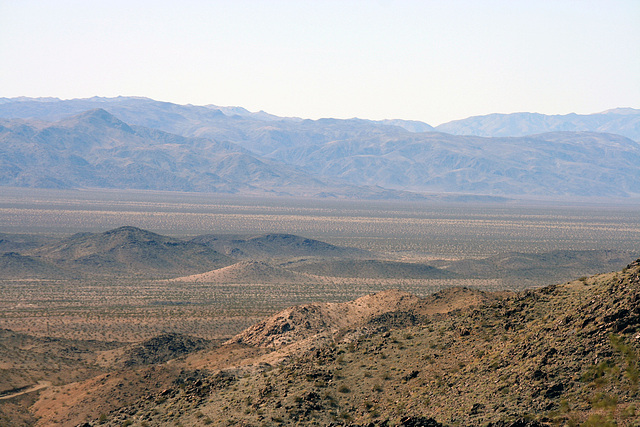 Joshua Tree National Park (3259)