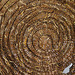 Silk moths at a reed basket