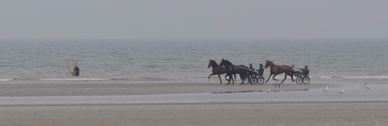 Tiercé à la plage 2