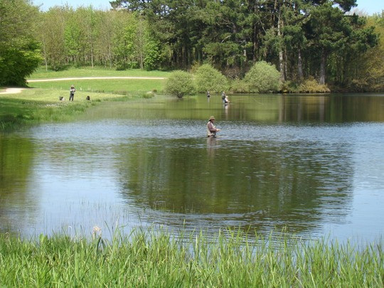 pêcheurs de carpes,