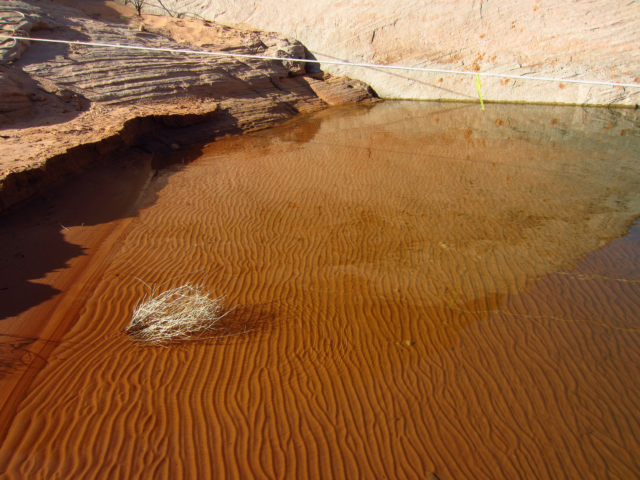 Lake Powell (0974)
