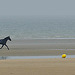 Tiercé à la plage