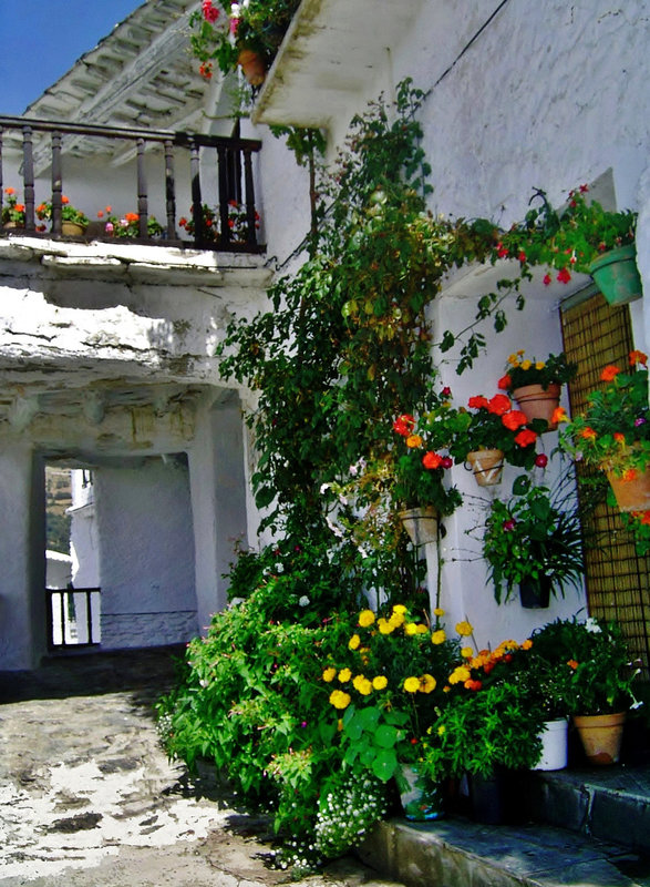 Arquitectura morisca de las Alpujarras.     No es un patio, es una calle !