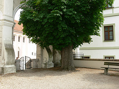 Freising Domberg