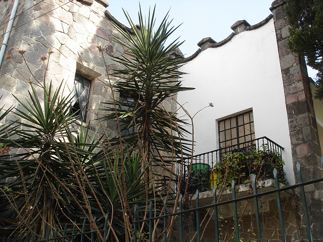 Balcon botanique / Botanical balcony - April 4th 2011.