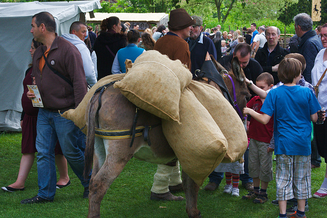 Fêtes Jeanne d'Arc, Compiègne, 2012