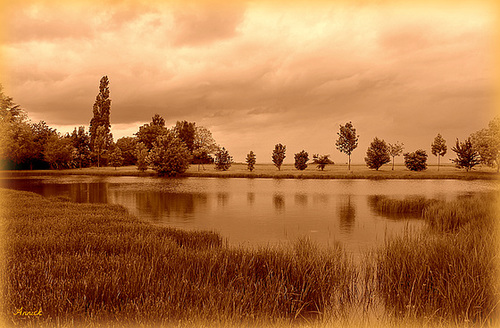 ETANG****