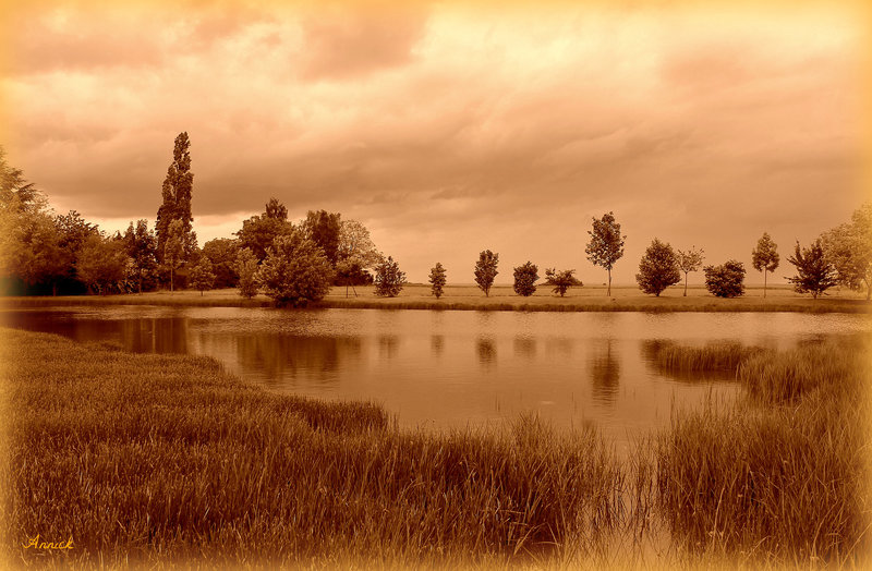 ETANG****