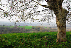 Paysage Basque