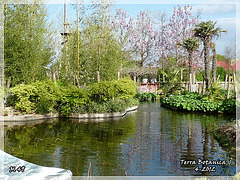 TERRA BOTANICA