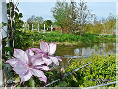 TERRA BOTANICA