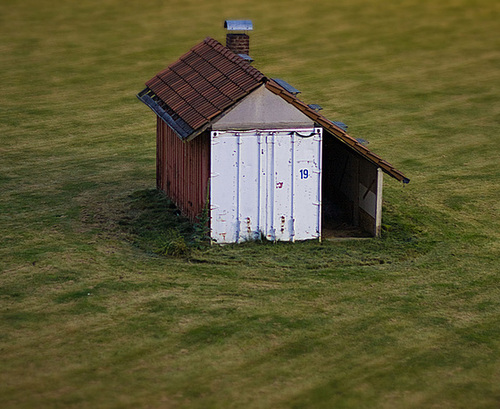19