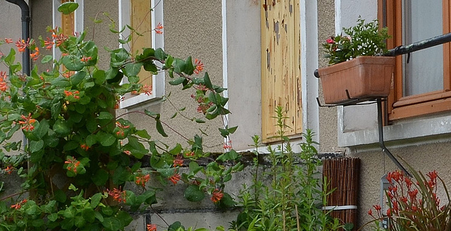 DSC 0081