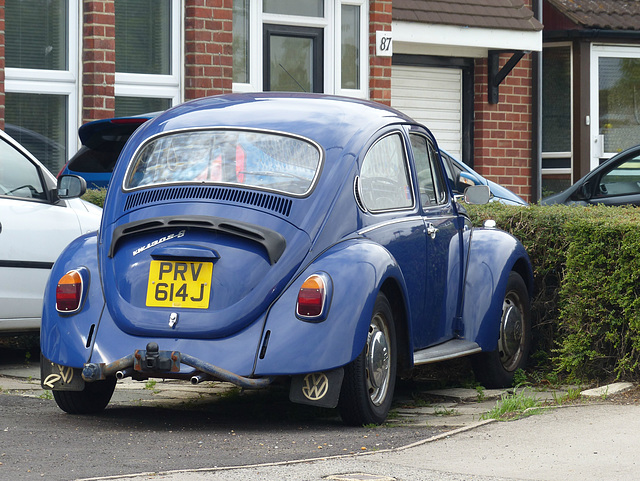 Beetle in Blue - 28 August 2014