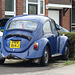 Beetle in Blue - 28 August 2014