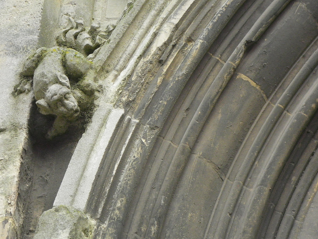 Eglise saint Jacques, gargouille.