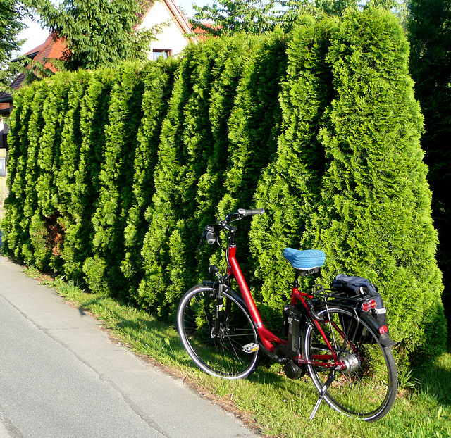 Mit dem E-bike zur Bastei - 1. Fahrt