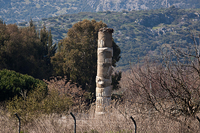 20120319 8024RAw [TR] Selcuk, Artemistempel(säuel) (eines der 7 Weltwunder)