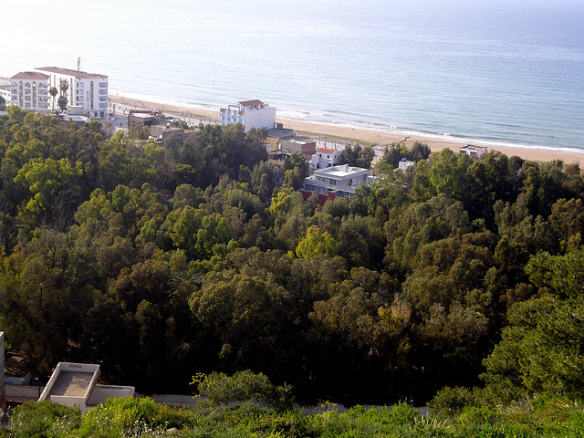 Belle plage n'est-ce pas ?