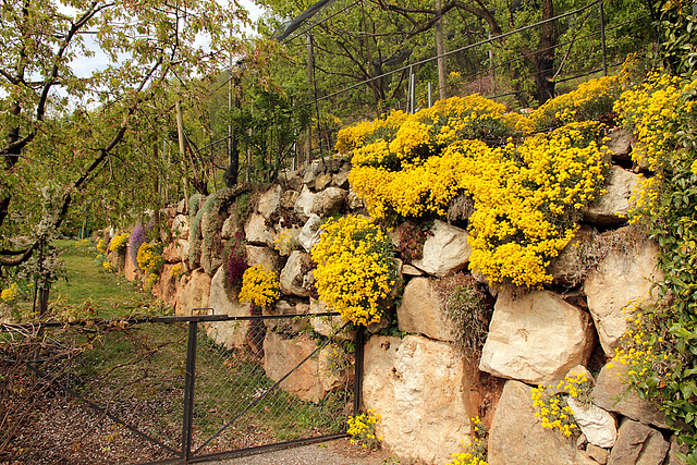 Gartenmauer