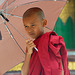 Young novice getting monkshood