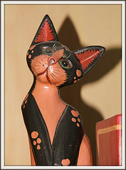 Chat polychrome...