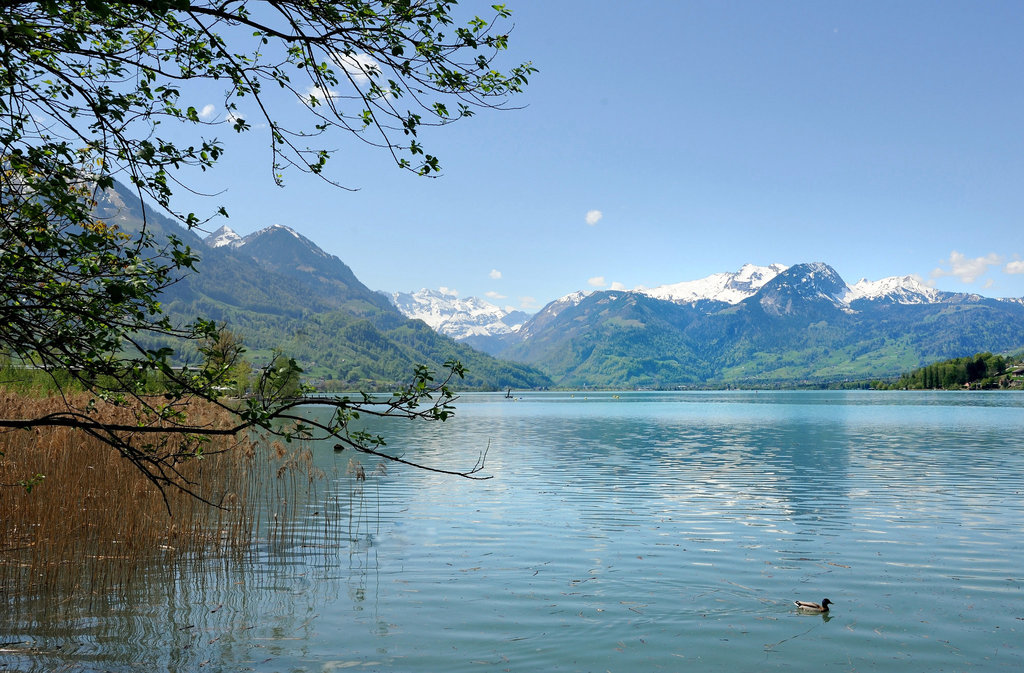 Le lac de Sarnen (Suisse Centrale)...