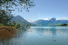 Le lac de Sarnen (Suisse Centrale)...