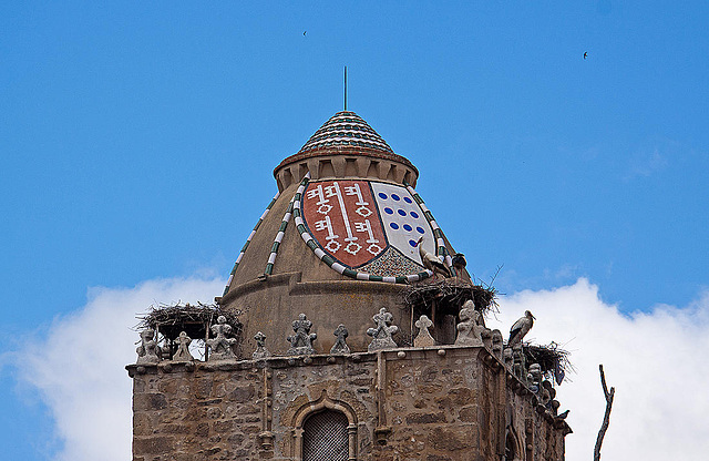 20120506 8956RAw [E] Alfiler-Turm, Weißstörche, Trujillo