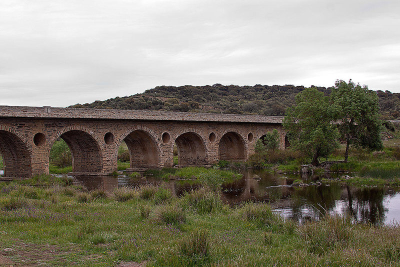 20120507 9071RAw [E] Rio Almonte, EX208, Extremadura