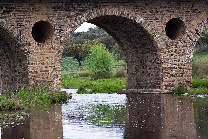 20120507 9079RAw [E] Rio Almonte, EX208, Extremadura