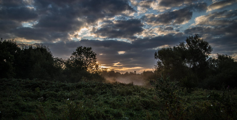 Early Morning Sun.