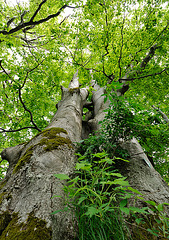 Rhön - 120520