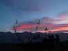 Saline Valley Sunset (0829)