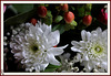 COEURS*** DUO !!