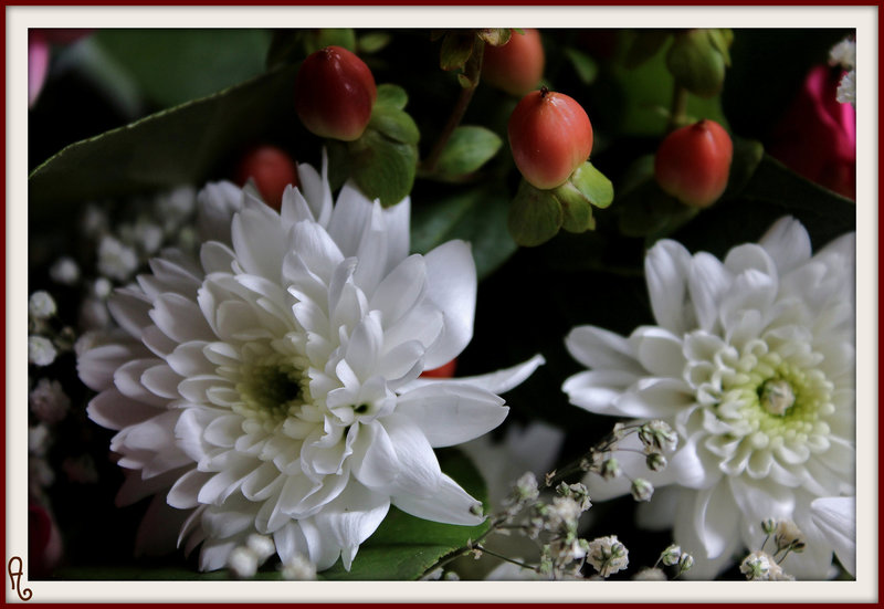 COEURS*** DUO !!
