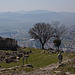 20120318 7989RAw [TR] Pergamon, Bergama