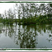 Reflets au lac de Maine