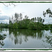 Reflets au lac de Maine