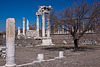 20120318 7973RAw [TR] Pergamon, Trajans-Tempel