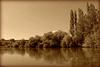 l'ETANG ***
