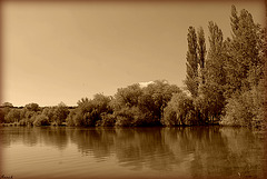 l'ETANG *** l'ETANG ***